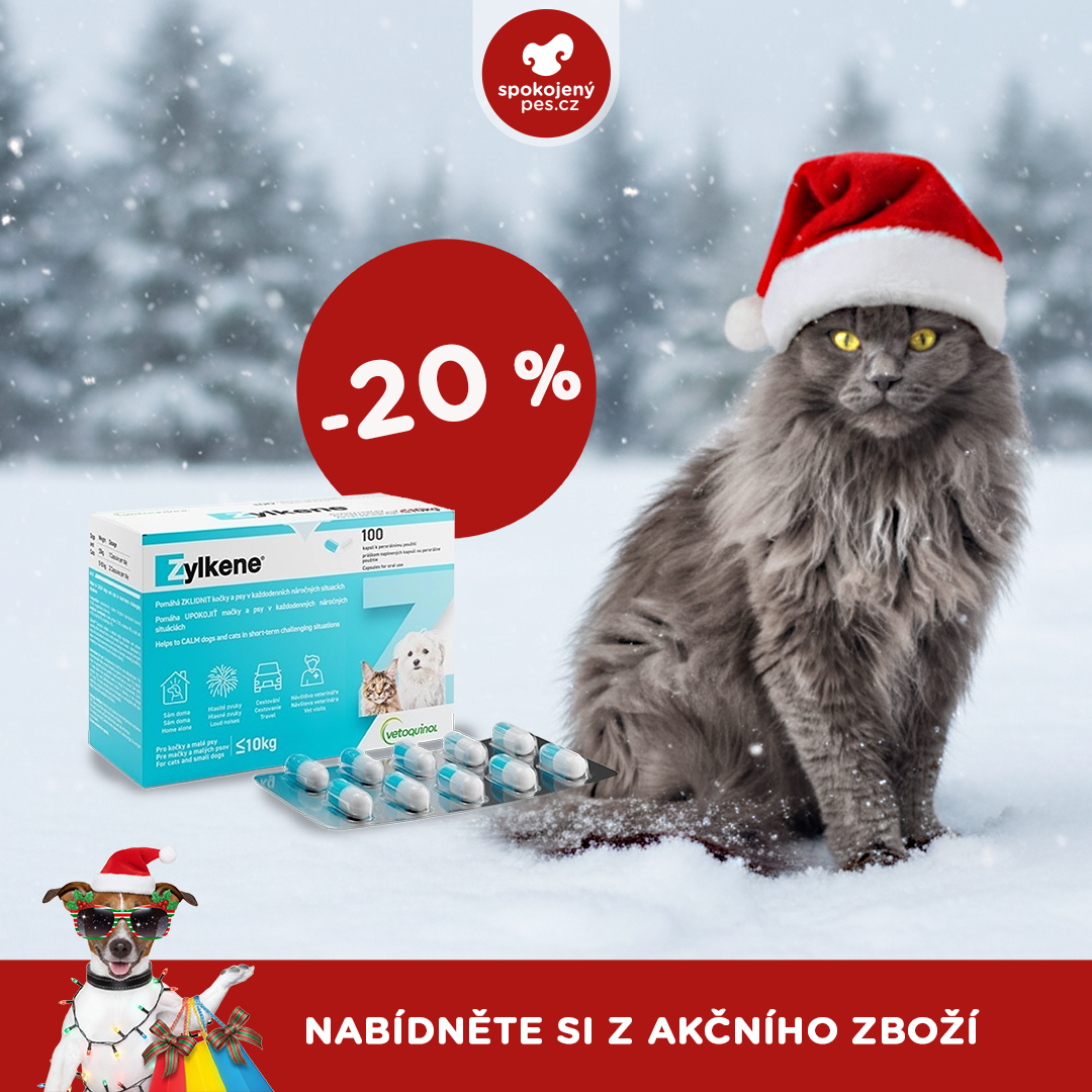 akční prosinec_kočka2.png